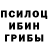 Псилоцибиновые грибы Psilocybine cubensis Dasher Uchiha