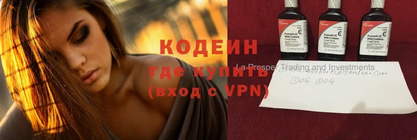 твердый Новозыбков