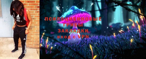 герыч Алексин